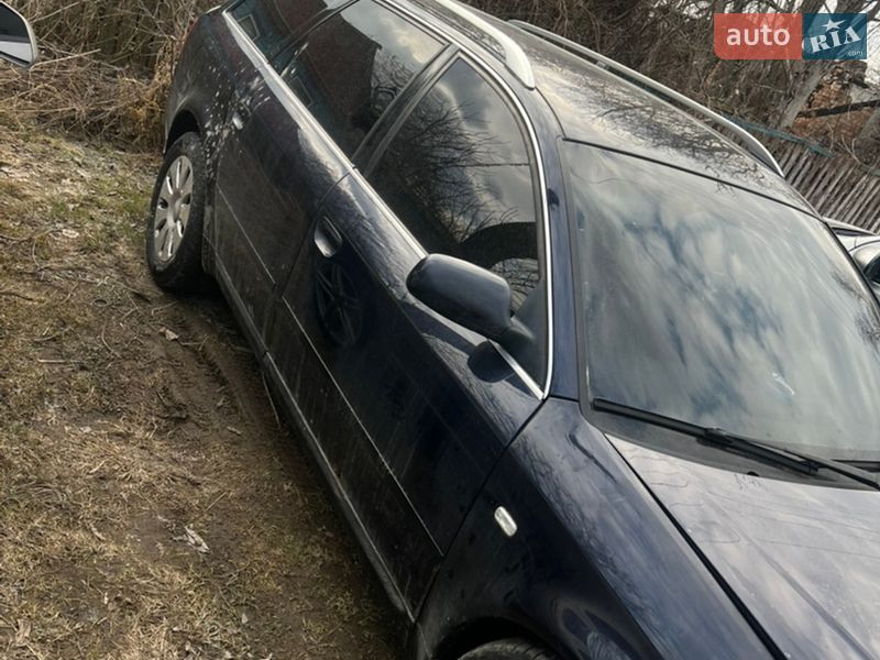 Универсал Audi A6 2000 в Звягеле фото 5 Универсал Audi A6 2000 в Звягеле