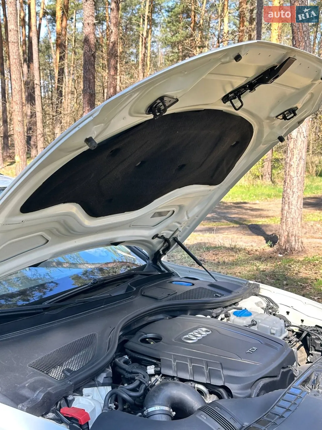 2013 Audi A6 - мініатюра 28
