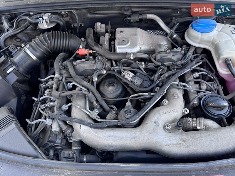 Универсал Audi A6 2009 в Бердичеве