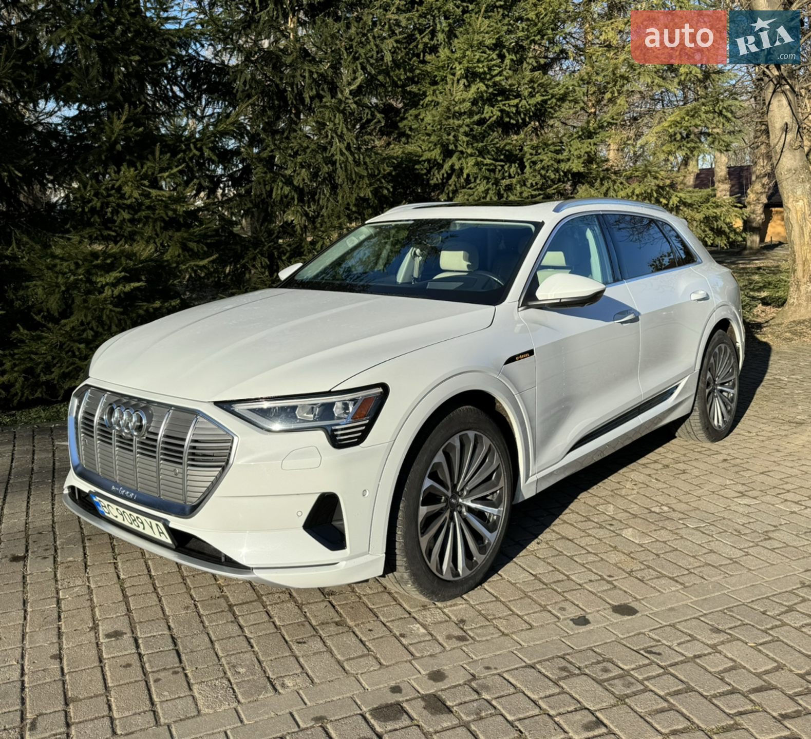 2019 Audi e-tron - мініатюра 2