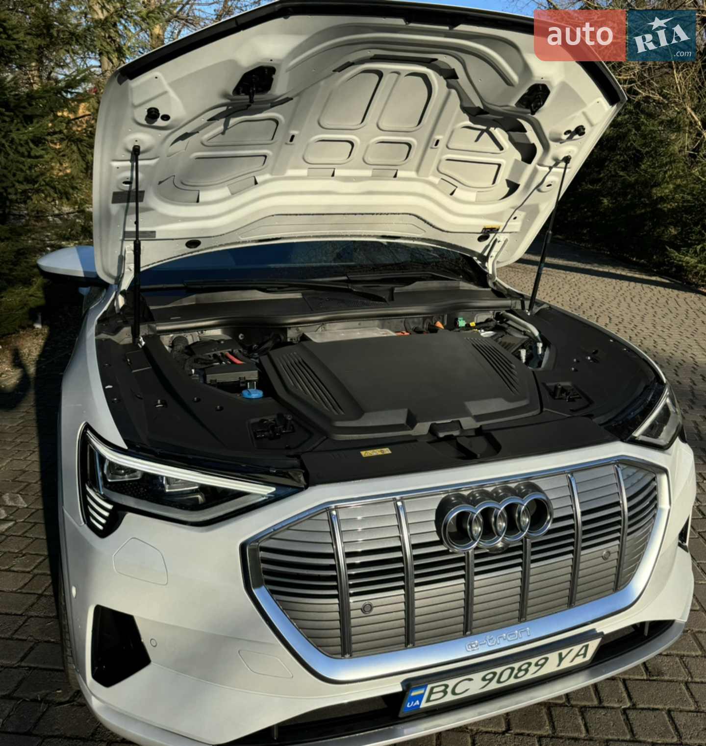 2019 Audi e-tron - мініатюра 14