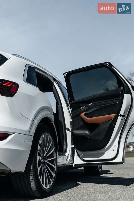 Внедорожник / Кроссовер Audi e-tron 2019 в Киеве фото 95 Внедорожник / Кроссовер Audi e-tron 2019 в Киеве