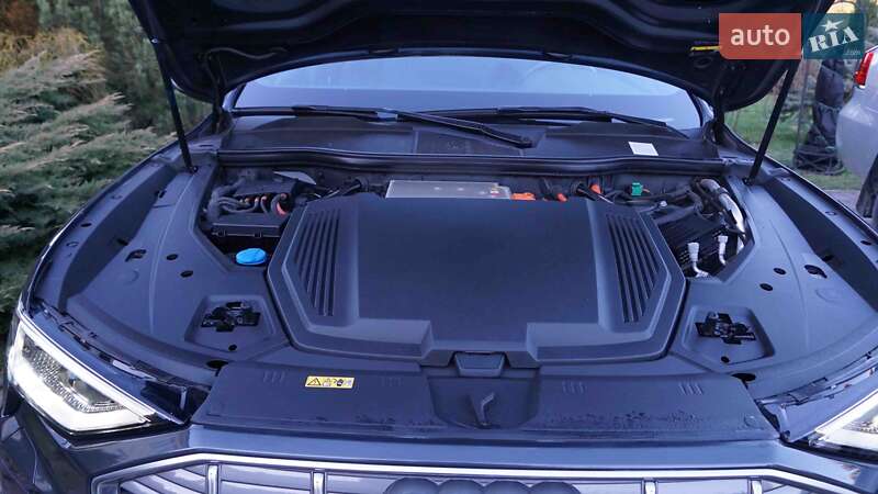 Внедорожник / Кроссовер Audi e-tron 2019 в Коломые фото 25 Внедорожник / Кроссовер Audi e-tron 2019 в Коломые