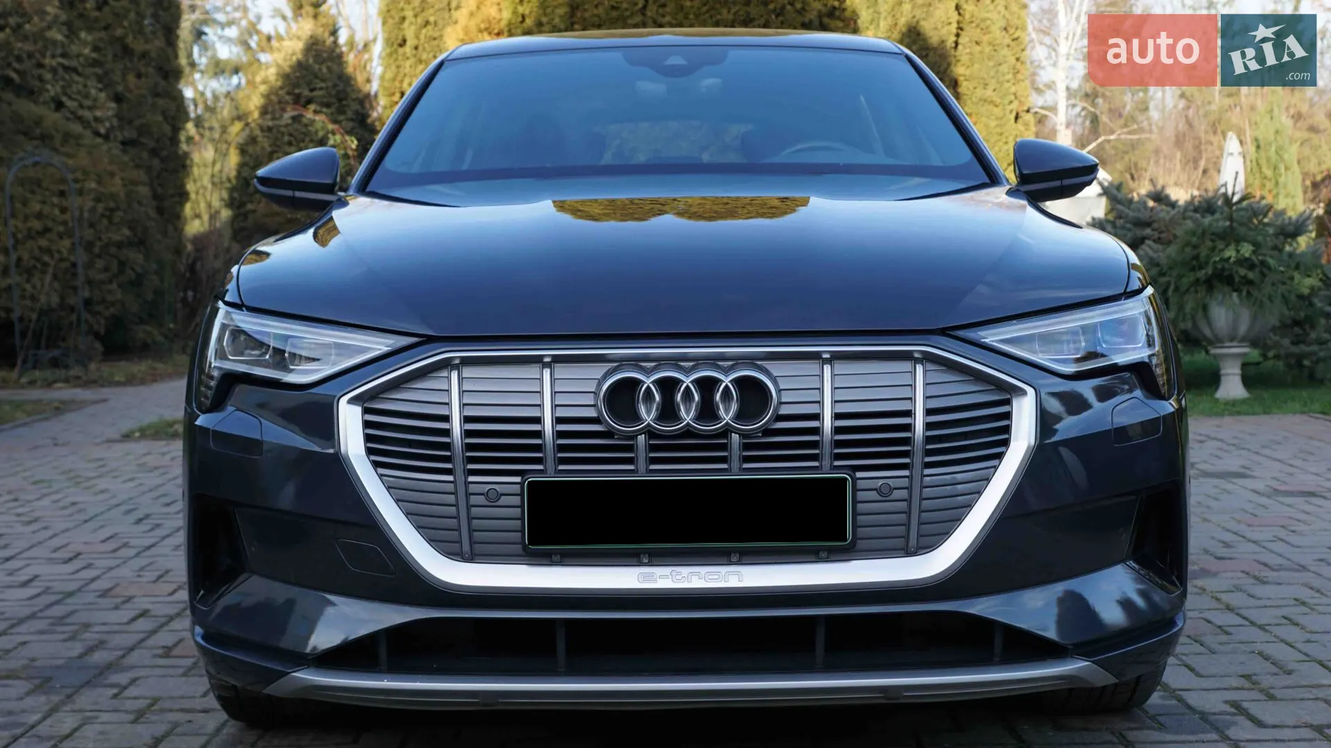 2019 Audi e-tron - фото 1
