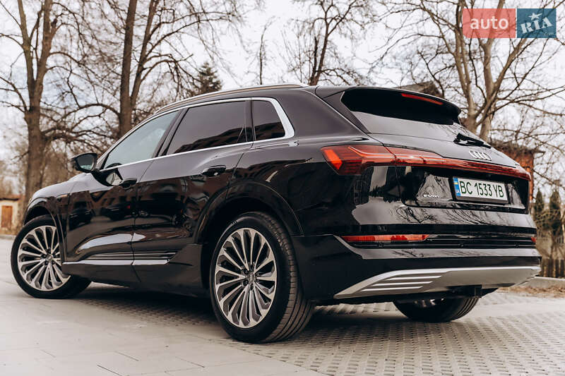 Внедорожник / Кроссовер Audi e-tron 2019 в Самборе фото 33 Внедорожник / Кроссовер Audi e-tron 2019 в Самборе