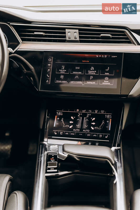 Внедорожник / Кроссовер Audi e-tron 2019 в Самборе фото 65 Внедорожник / Кроссовер Audi e-tron 2019 в Самборе