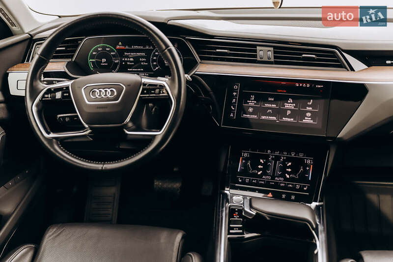 Внедорожник / Кроссовер Audi e-tron 2019 в Самборе фото 69 Внедорожник / Кроссовер Audi e-tron 2019 в Самборе