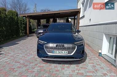Внедорожник / Кроссовер Audi e-tron 2019 в 