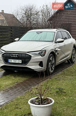 Внедорожник / Кроссовер Audi e-tron 2021 в 