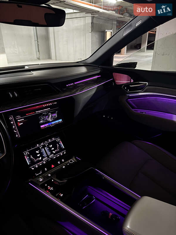 Внедорожник / Кроссовер Audi e-tron 2019 в Одессе фото 44 Внедорожник / Кроссовер Audi e-tron 2019 в Одессе