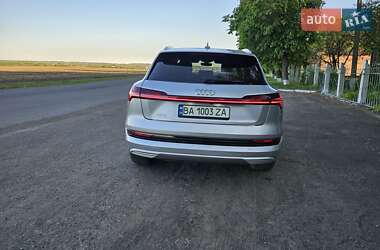 Внедорожник / Кроссовер Audi e-tron 2019 в 