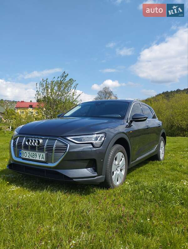 Внедорожник / Кроссовер Audi e-tron 2020 в Тернополе фото 15 Внедорожник / Кроссовер Audi e-tron 2020 в Тернополе