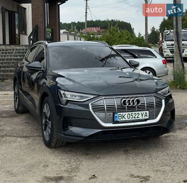 Внедорожник / Кроссовер Audi e-tron 2020 в Вараше фото 2 Внедорожник / Кроссовер Audi e-tron 2020 в Вараше