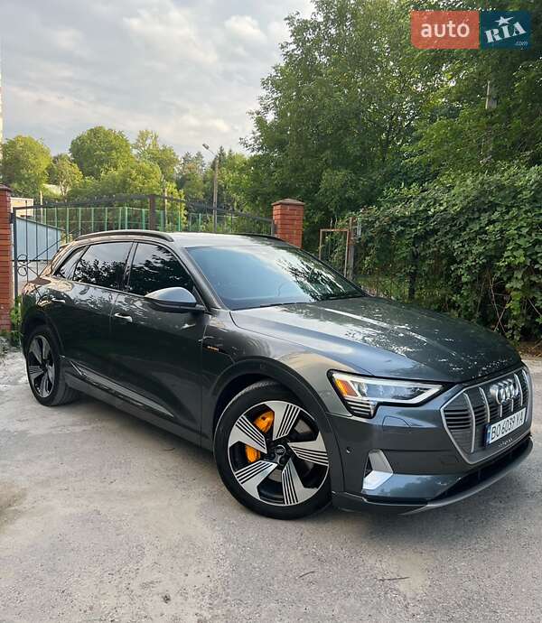 Audi e-tron 2019