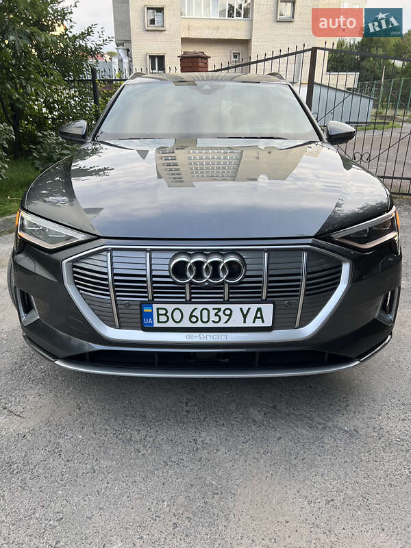 Внедорожник / Кроссовер Audi e-tron 2019 в Бучаче фото 7 Внедорожник / Кроссовер Audi e-tron 2019 в Бучаче