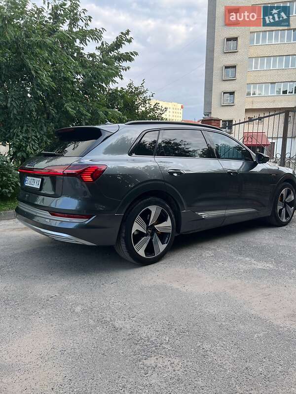 Внедорожник / Кроссовер Audi e-tron 2019 в Бучаче фото 22 Внедорожник / Кроссовер Audi e-tron 2019 в Бучаче