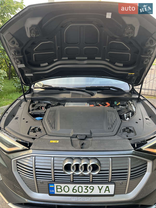 Внедорожник / Кроссовер Audi e-tron 2019 в Бучаче фото 20 Внедорожник / Кроссовер Audi e-tron 2019 в Бучаче