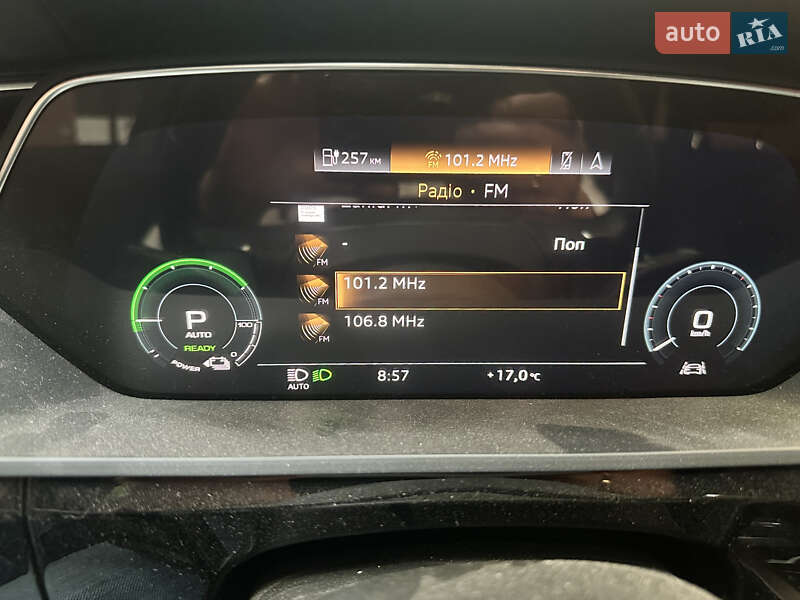 Внедорожник / Кроссовер Audi e-tron 2020 в Иршаве фото 24 Внедорожник / Кроссовер Audi e-tron 2020 в Иршаве