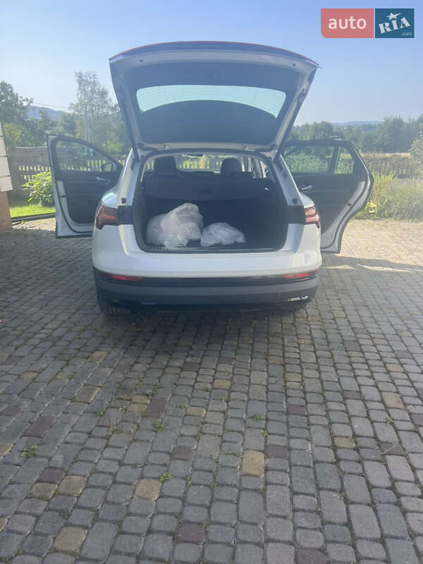 Внедорожник / Кроссовер Audi e-tron 2019 в Косове фото 14 Внедорожник / Кроссовер Audi e-tron 2019 в Косове