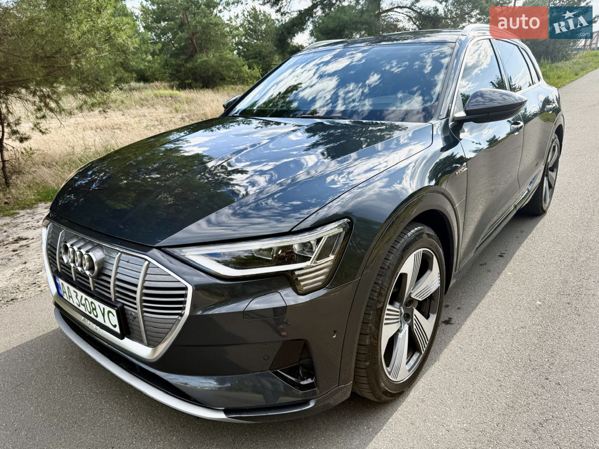 2019 Audi e-tron - фото 1
