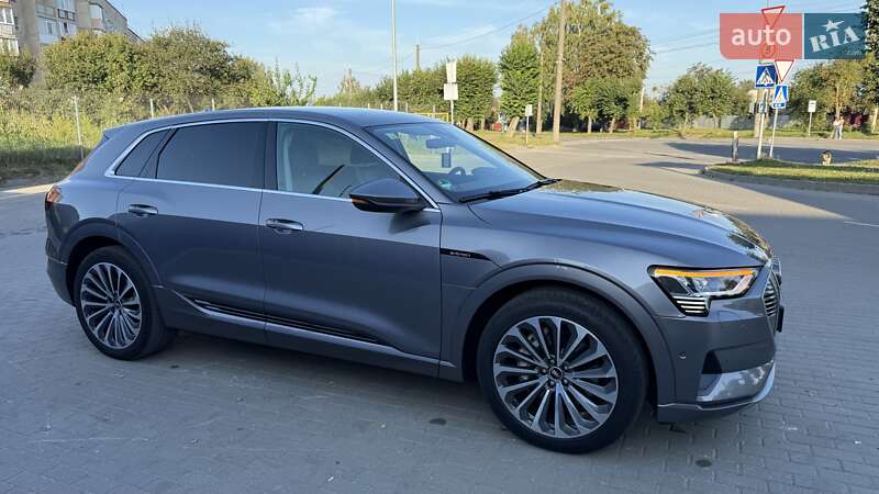 Внедорожник / Кроссовер Audi e-tron 2020 в Шепетовке фото 14 Внедорожник / Кроссовер Audi e-tron 2020 в Шепетовке