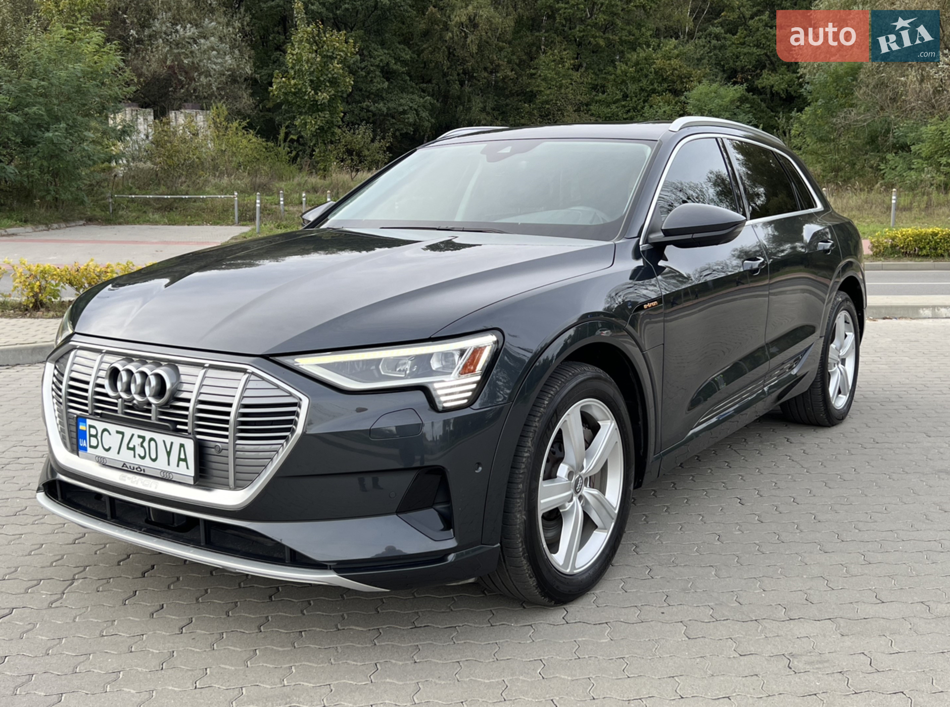 2019 Audi e-tron - фото 1
