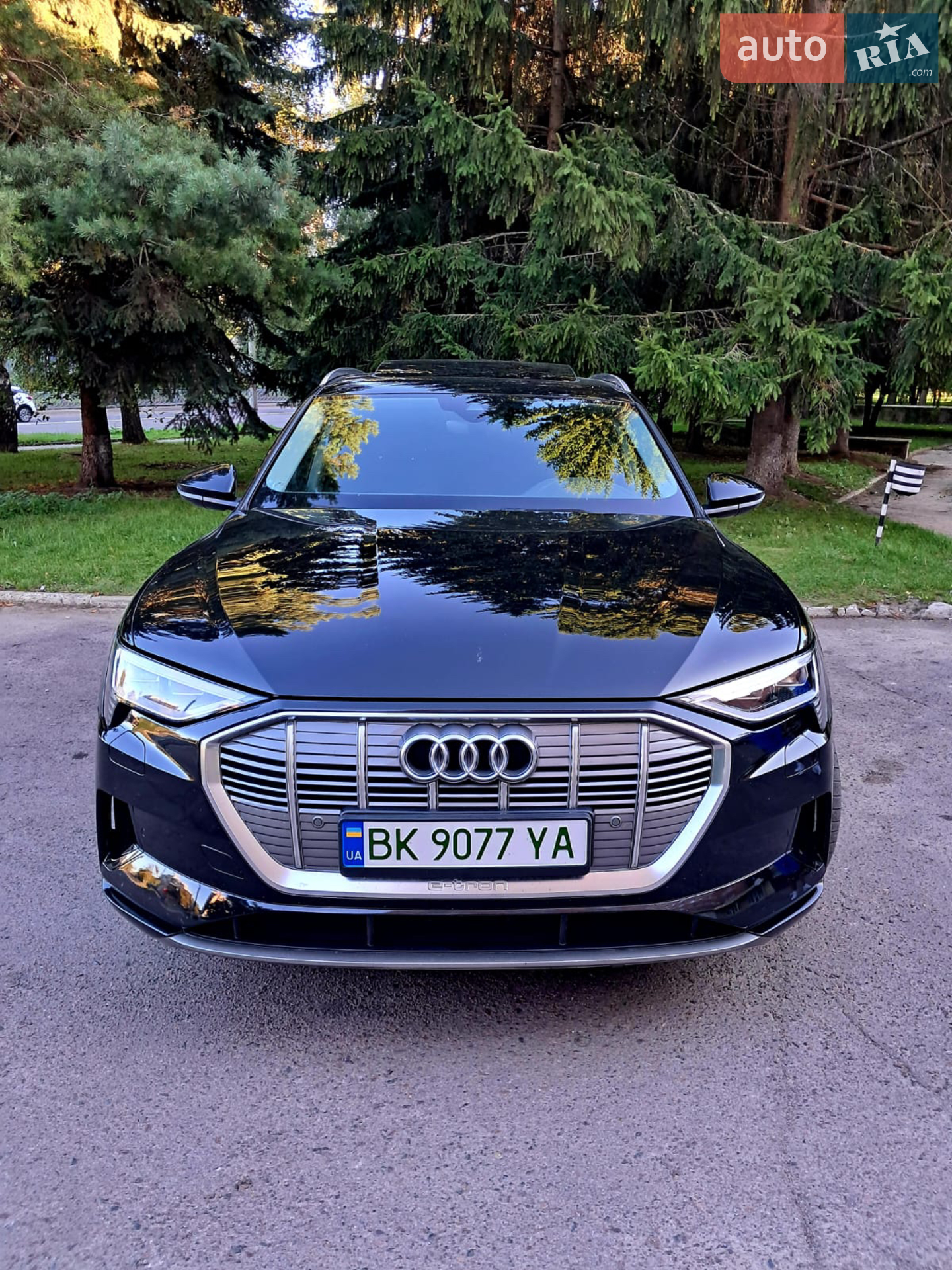 2019 Audi e-tron - мініатюра 7