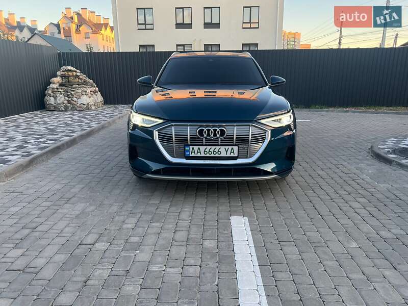 Внедорожник / Кроссовер Audi e-tron 2019 в Софиевской Борщаговке фото 29 Внедорожник / Кроссовер Audi e-tron 2019 в Софиевской Борщаговке