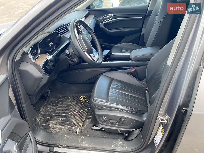 Внедорожник / Кроссовер Audi e-tron 2019 в Луцке фото 11 Внедорожник / Кроссовер Audi e-tron 2019 в Луцке