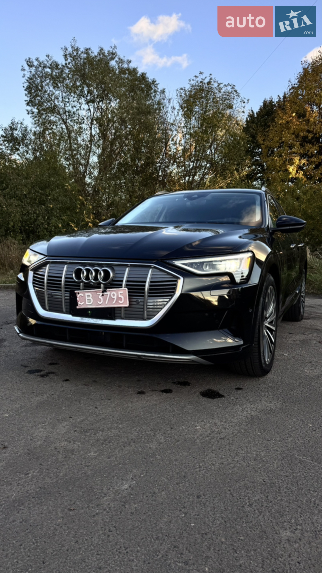 2019 Audi e-tron - мініатюра 2