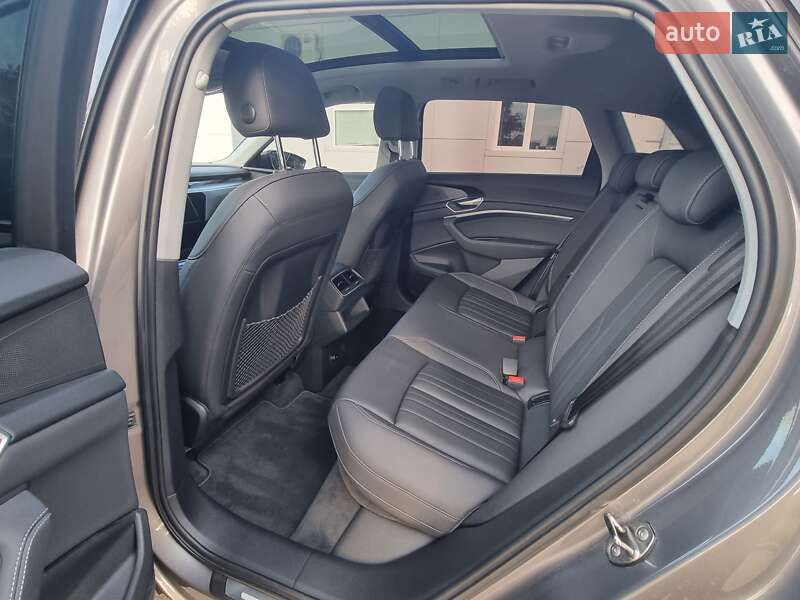 Внедорожник / Кроссовер Audi e-tron 2020 в Коломые фото 31 Внедорожник / Кроссовер Audi e-tron 2020 в Коломые