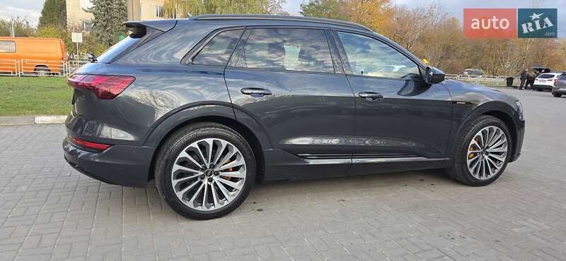 Внедорожник / Кроссовер Audi e-tron 2021 в Тернополе фото 14 Внедорожник / Кроссовер Audi e-tron 2021 в Тернополе