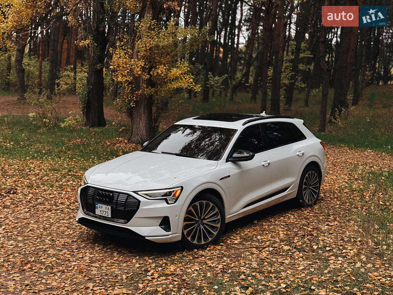 Внедорожник / Кроссовер Audi e-tron 2019 в Запорожье фото 2 Внедорожник / Кроссовер Audi e-tron 2019 в Запорожье