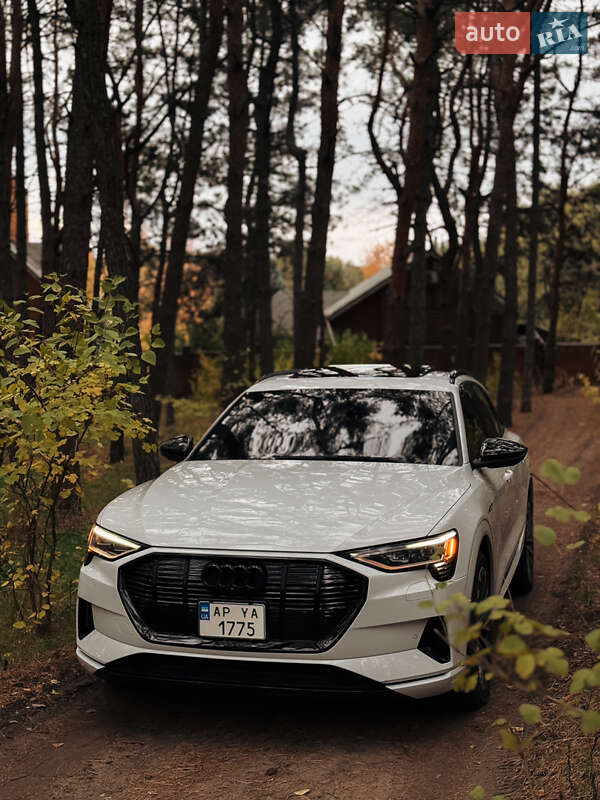 Внедорожник / Кроссовер Audi e-tron 2019 в Запорожье фото 3 Внедорожник / Кроссовер Audi e-tron 2019 в Запорожье