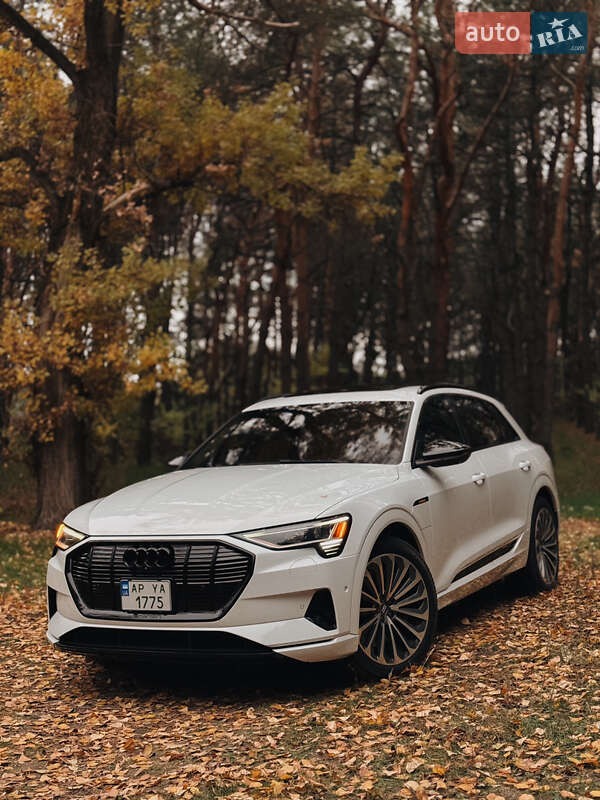 Внедорожник / Кроссовер Audi e-tron 2019 в Запорожье фото 9 Внедорожник / Кроссовер Audi e-tron 2019 в Запорожье