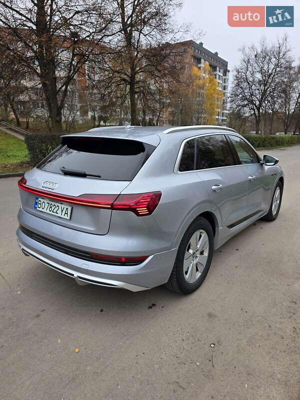Внедорожник / Кроссовер Audi e-tron 2020 в Тернополе фото 11 Внедорожник / Кроссовер Audi e-tron 2020 в Тернополе