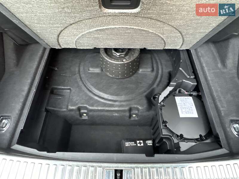 Внедорожник / Кроссовер Audi e-tron 2021 в Киеве фото 85 Внедорожник / Кроссовер Audi e-tron 2021 в Киеве