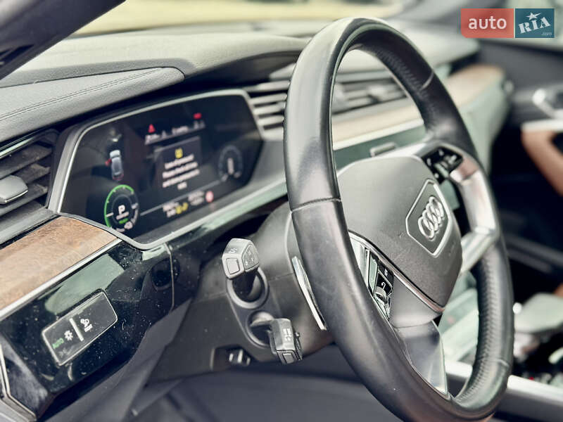 Внедорожник / Кроссовер Audi e-tron 2019 в Сарнах фото 18 Внедорожник / Кроссовер Audi e-tron 2019 в Сарнах