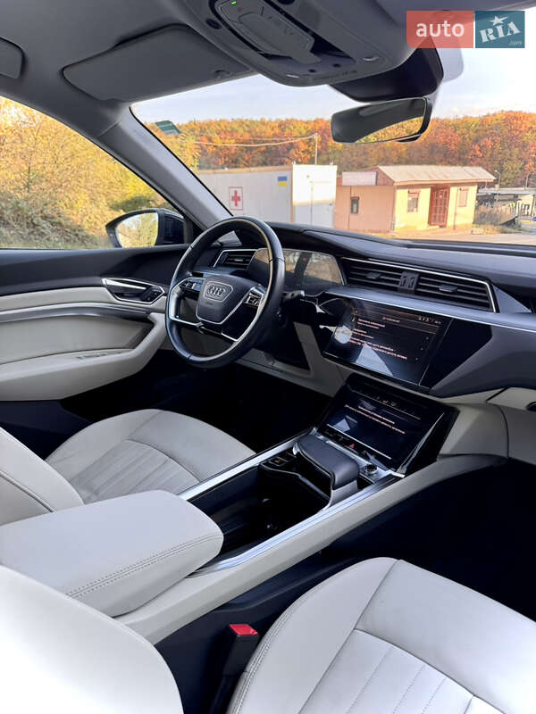 Внедорожник / Кроссовер Audi e-tron 2020 в Ужгороде фото 15 Внедорожник / Кроссовер Audi e-tron 2020 в Ужгороде