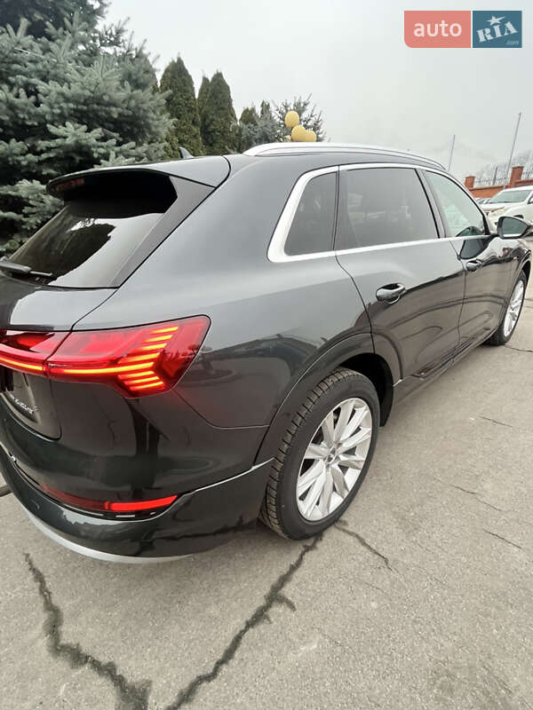 Внедорожник / Кроссовер Audi e-tron 2020 в Умани фото 13 Внедорожник / Кроссовер Audi e-tron 2020 в Умани