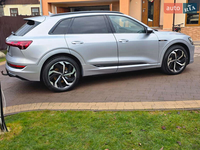 Внедорожник / Кроссовер Audi e-tron 2020 в Дрогобыче фото 24 Внедорожник / Кроссовер Audi e-tron 2020 в Дрогобыче