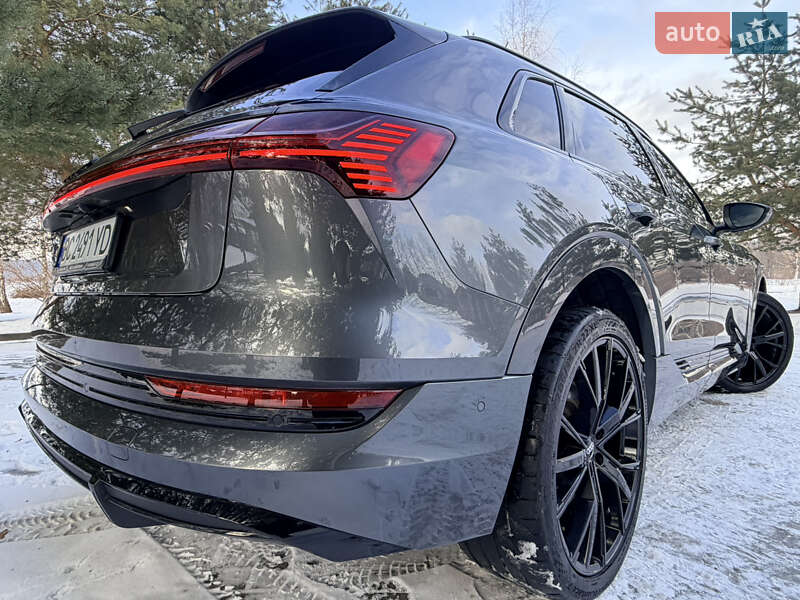 Внедорожник / Кроссовер Audi e-tron 2020 в Дрогобыче фото 21 Внедорожник / Кроссовер Audi e-tron 2020 в Дрогобыче