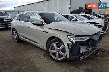Внедорожник / Кроссовер Audi e-tron 2019 в Коломые
