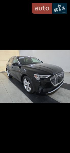 Позашляховик / Кросовер Audi e-tron 2019 в Дрогобичі