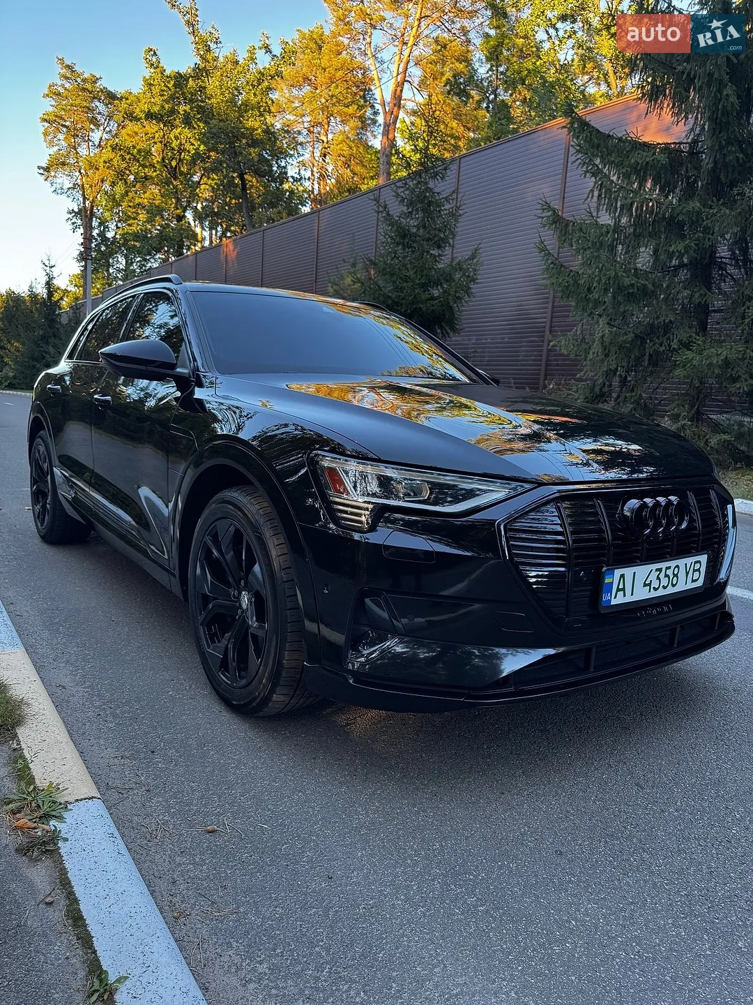 2019 Audi e-tron - мініатюра 4