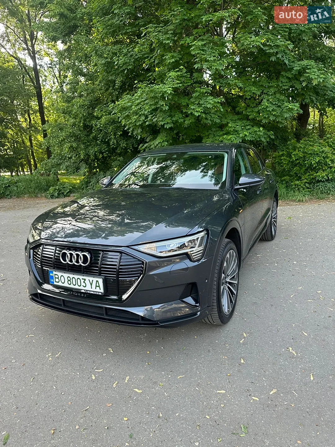 2021 Audi e-tron - мініатюра 18