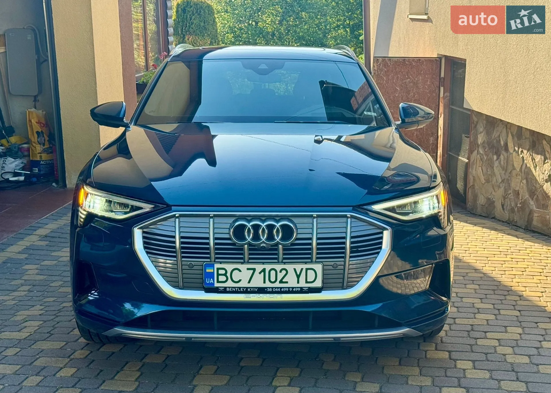 2019 Audi e-tron - мініатюра 2