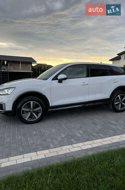 Внедорожник / Кроссовер Audi Q2L e-tron 2021 в 