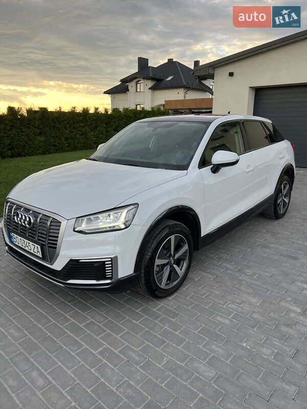 Позашляховик / Кросовер Audi Q2L e-tron 2021 в Тернополі