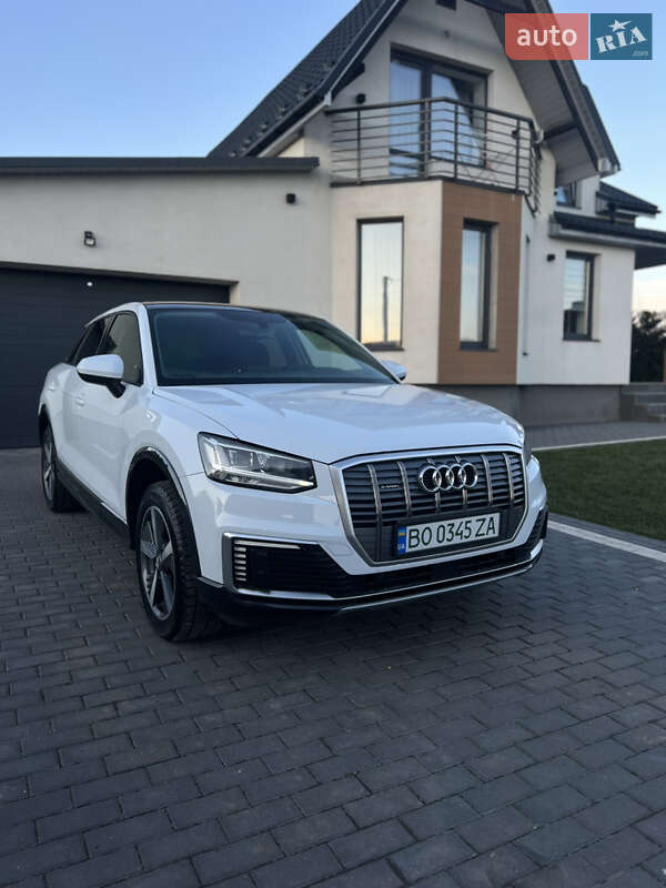 Позашляховик / Кросовер Audi Q2L e-tron 2021 в Тернополі